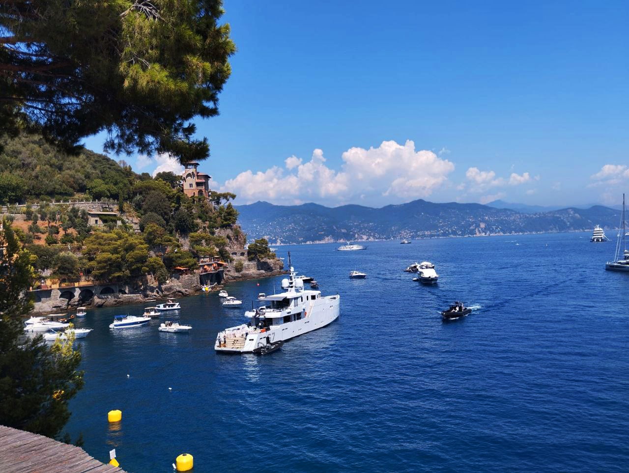 Transfer from to Portofino